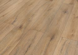 48338-DK7820F04-1290-173-4V-4003-Ceasar-Nature-1S-3D.jpg 48338-DK7820F04-1290-173-4V-4003-Ceasar-Nature-1S-3D.jpg