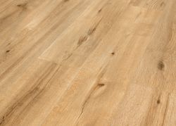 63371-DK8229F06-1290-246-4V-4001-Coca-Oak-1S-3D.jpg 63371-DK8229F06-1290-246-4V-4001-Coca-Oak-1S-3D.jpg