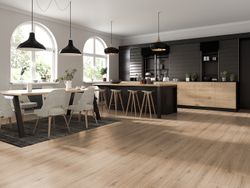 63677-4073-1286-192-4V-4004-Old-Castle-Oak-nature-1S-77008-A.jpg 63677-4073-1286-192-4V-4004-Old-Castle-Oak-nature-1S-77008-A.jpg