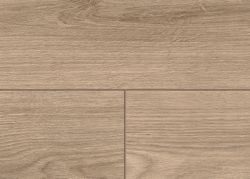 63677-4073-1286-192-4V-4004-Old-Castle-Oak-nature-1S-DET.jpg 63677-4073-1286-192-4V-4004-Old-Castle-Oak-nature-1S-DET.jpg