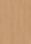 68121-4216-1285-192-4V-4027-Cheyenne-beige-1S-FLO.jpg