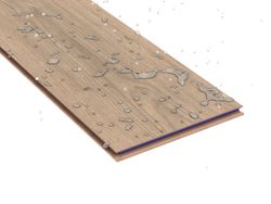 62314-4073-1285-192-4V-4004-Old-Castle-Oak-nature-1S-16002-A.jpg 62314-4073-1285-192-4V-4004-Old-Castle-Oak-nature-1S-16002-A.jpg