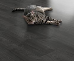 56187-4023-1285-192-4V-4013-Cubana-Oak-R-black-1S-88049-A.jpg 56187-4023-1285-192-4V-4013-Cubana-Oak-R-black-1S-88049-A.jpg