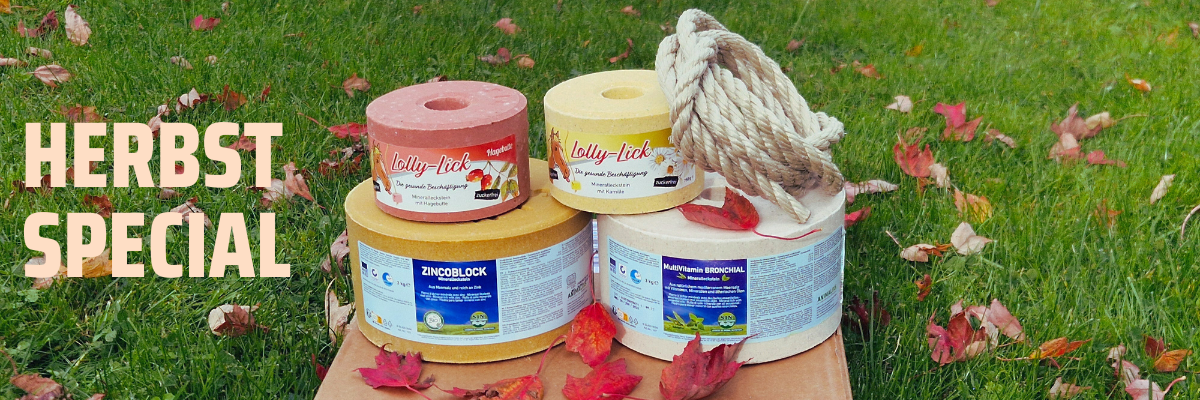     [Paket] HERBST-SPECIAL Lecksteine-Set mit Zincoblock, Bronchial, Lolly-lick Hagebutte & Kamille – inkl. Aufhäng-Seil gratis