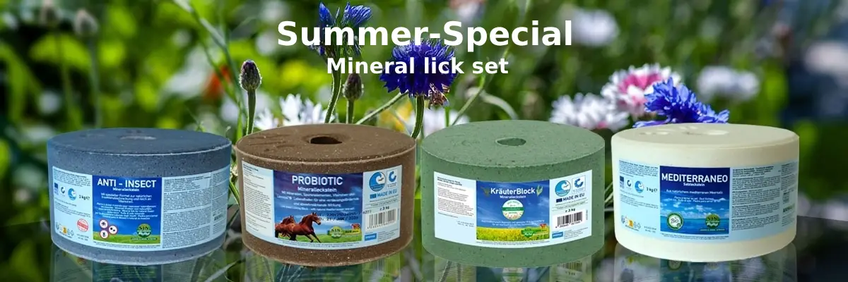     [Bundle] SUMMER-SPECIAL Lickstone Set – 4 x 3kg – with Anti-Insect, Probiotic, Herbal Block, Mediterraneo