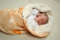 Babydecke / Kinderdecke Watschel Baumwollplüsch Babydecke / Kinderdecke Watschel Baumwollplüsch