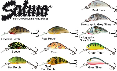 Salmo Hornet