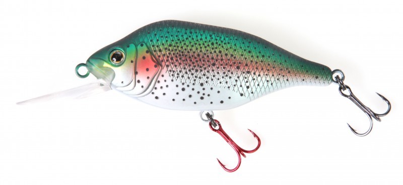 Wacky Wobbler WOB-ART ROACH Kder  Crankbait Fr Spinnfischen Auf Hecht,  Zander & Wels Lieblingskder Wobbler