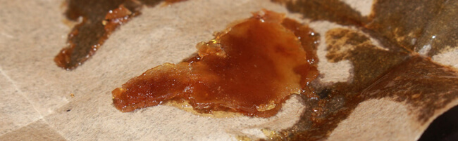 Unterschied zwischen Live Resin & Rosin